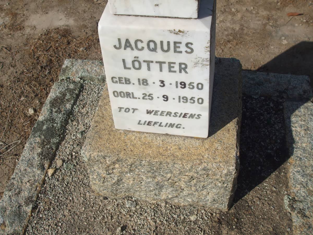 LOTTER Jacques 1950-1950