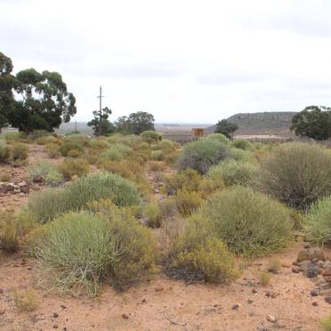 ? Unmarked Grave with stones