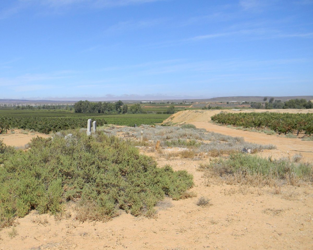 3. Overview on cemetery