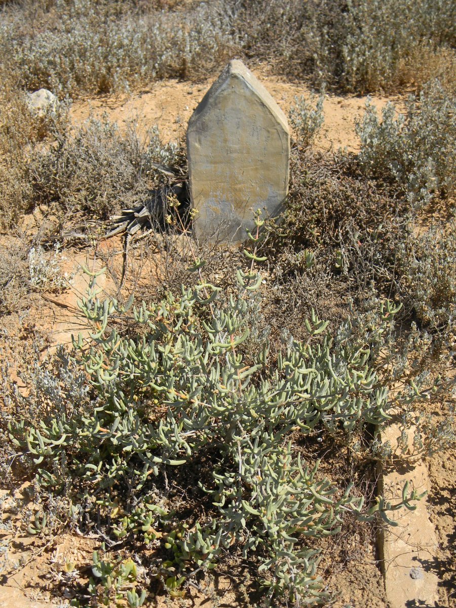 ? Illegible Tombstone
