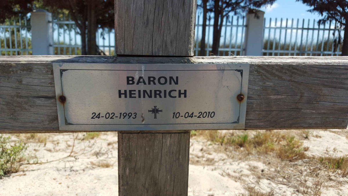 BARON Heinrich 1993-2010