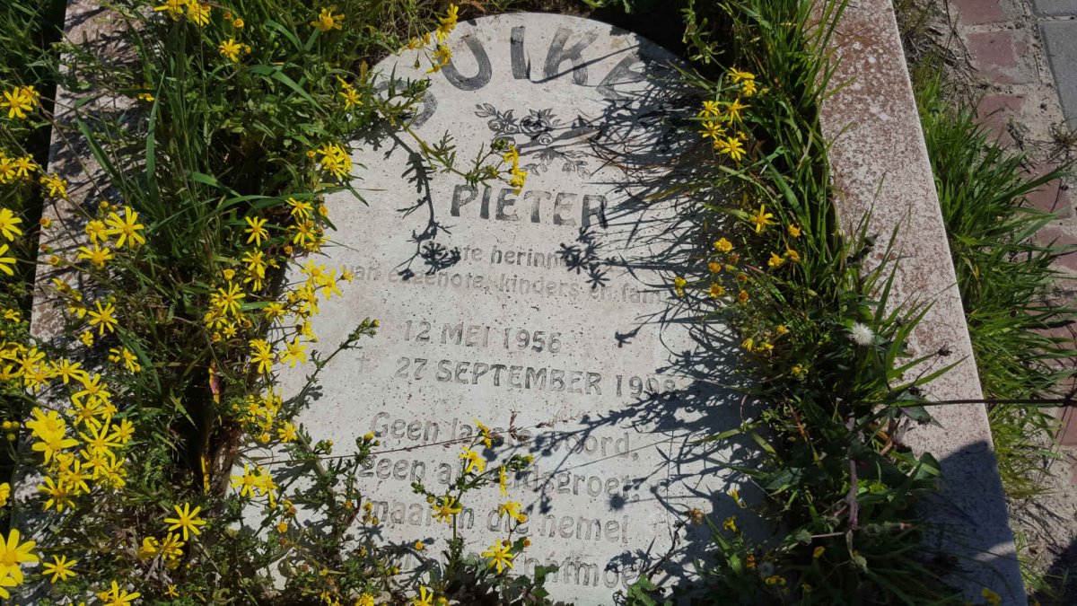DUIKER Pieter 1956-1998
