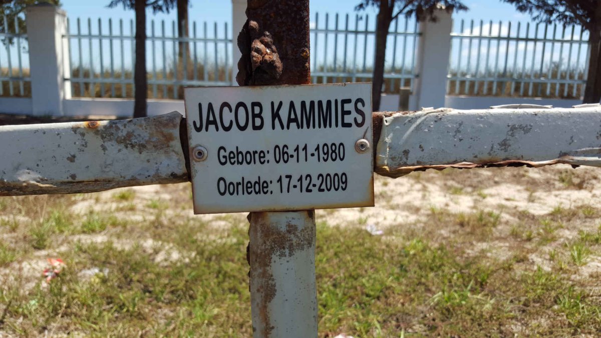 KAMMIES Jacob 1980-2009