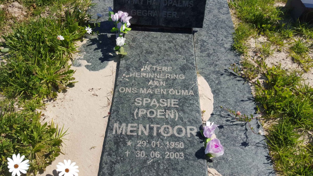 MENTOOR Spasie 1950-2003