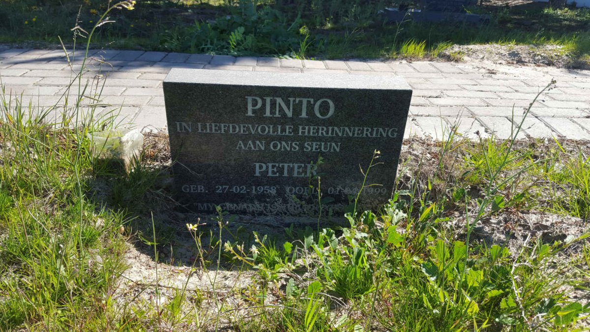 PINTO Peter 1958-1999
