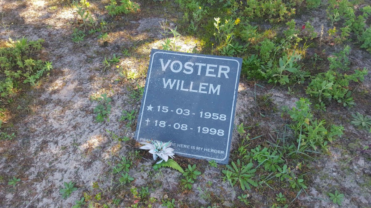VOSTER Willem 1958-1998