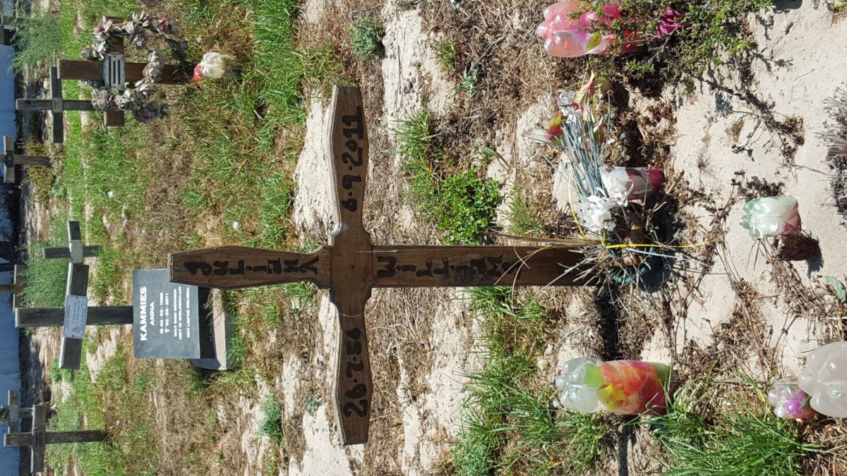 WILLIAMS Juliana 1956-2011