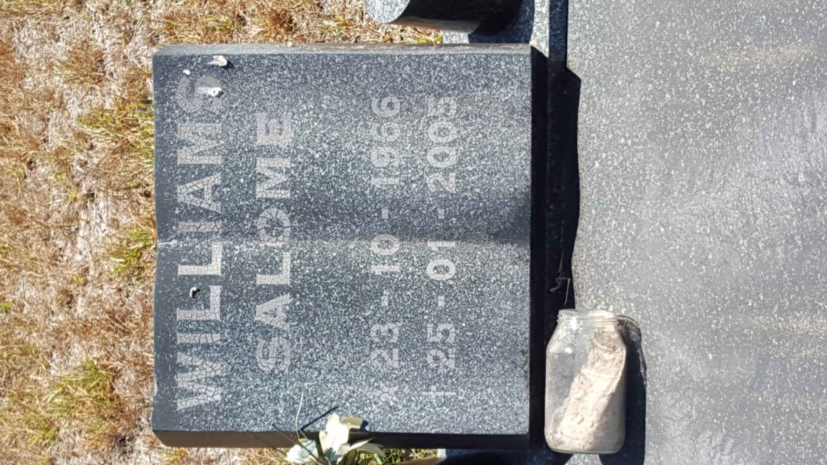 WILLIAMS Salome 1966-2005