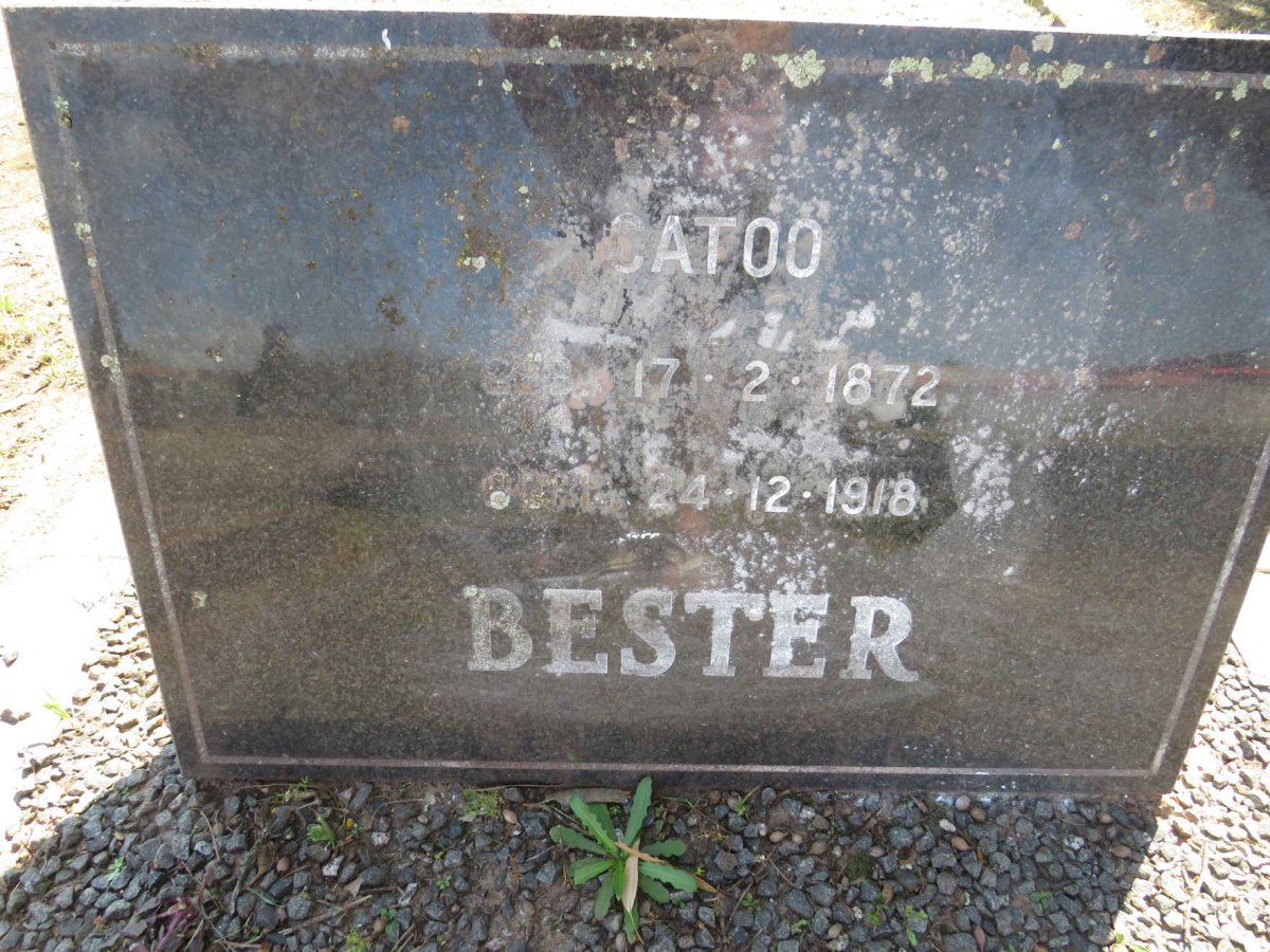 BESTER Catoo 1872-1918