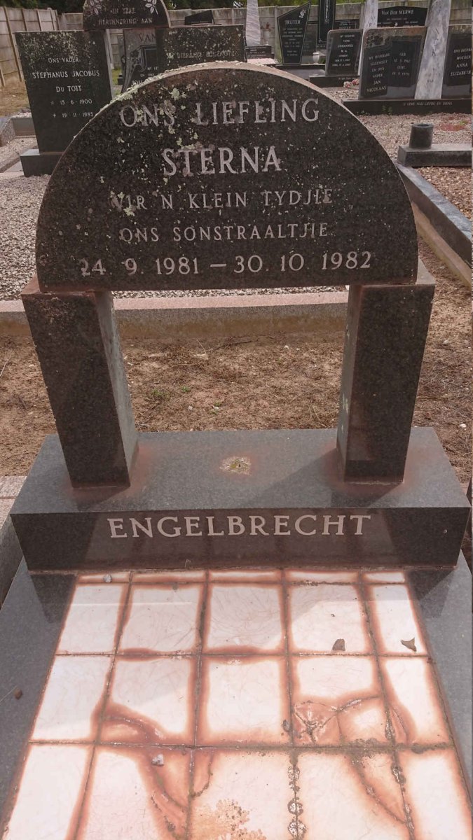 ENGELBRECHT Sterna 1981-1982