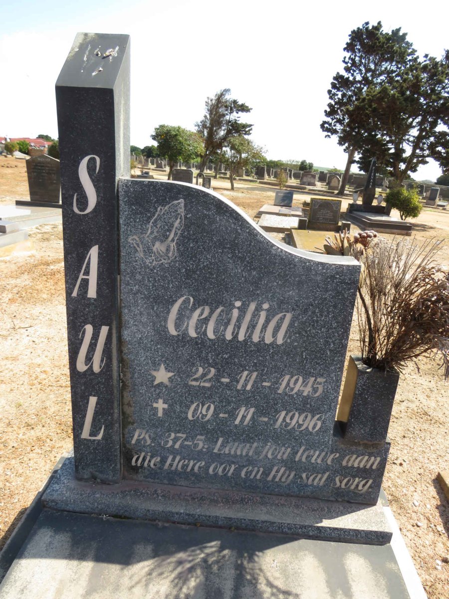 SAUL Cecilia 1945-1996