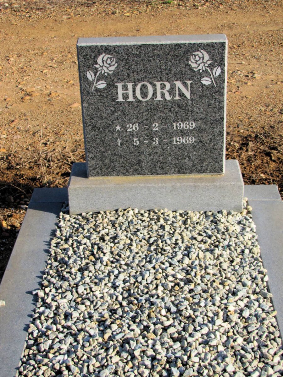 HORN 1969-1969