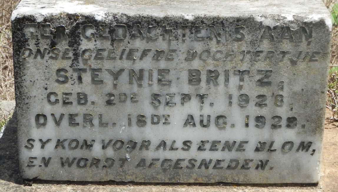 BRITZ Steynie 1928-1929