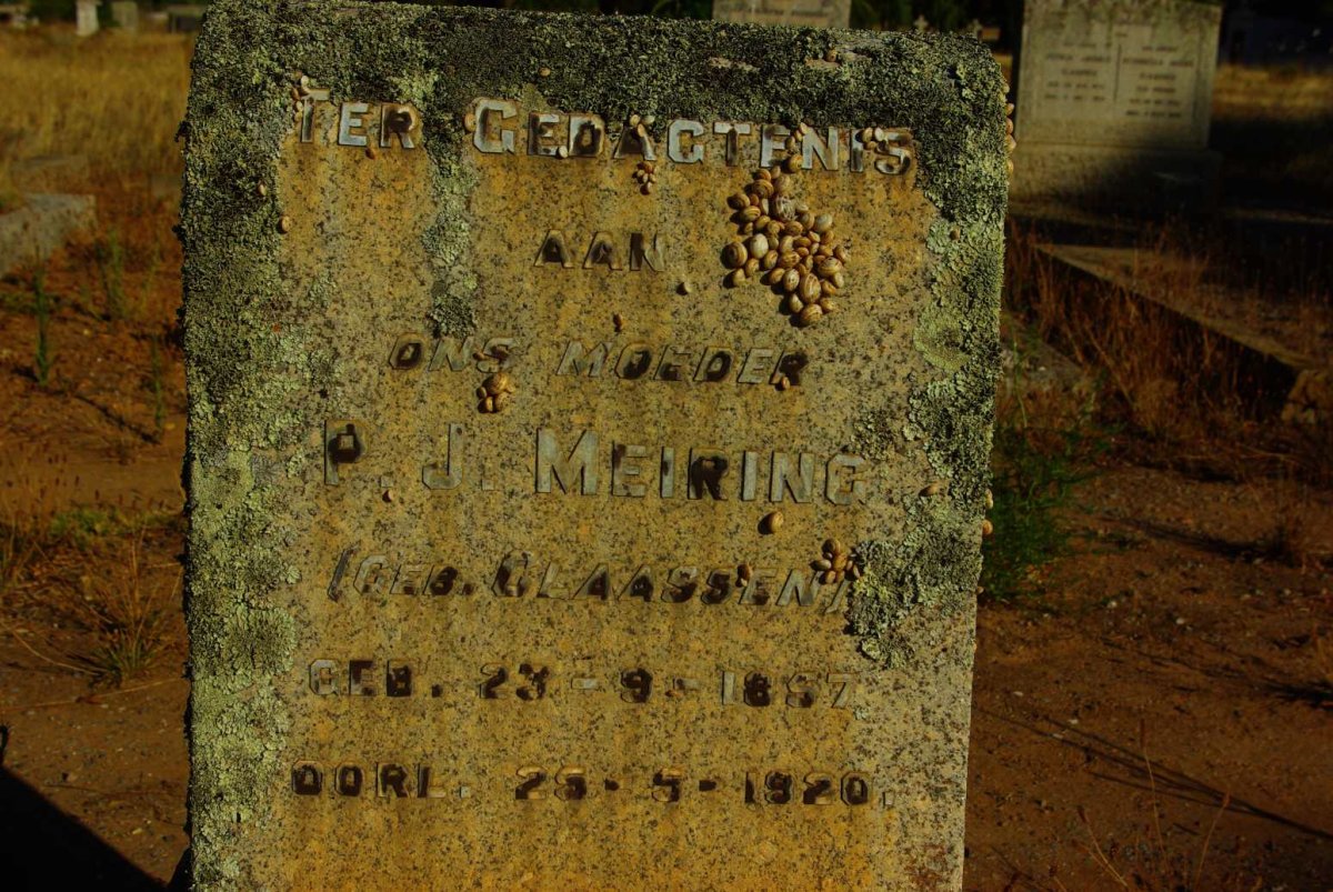 MEIRING P.J. nee CLAASSEN 1857-1920