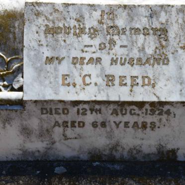 REED E.C. -1924