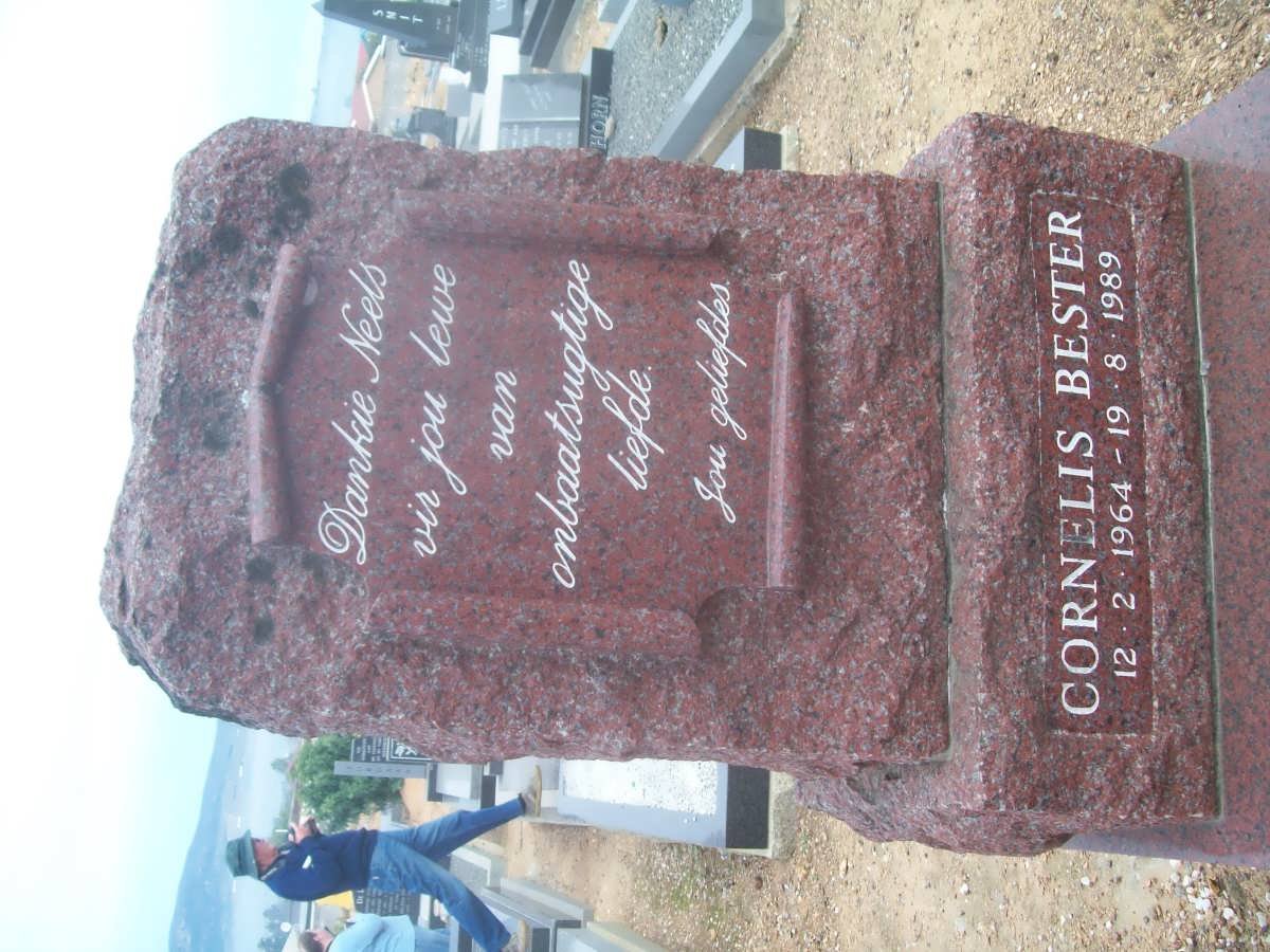 BESTER Cornelis 1964-1989