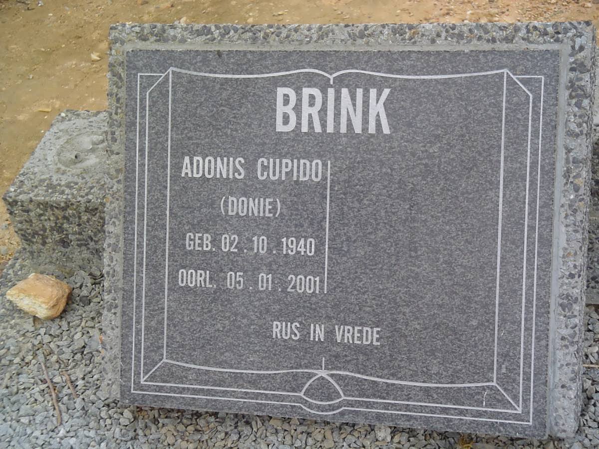 BRINK Adonis Cupido 1940-2001