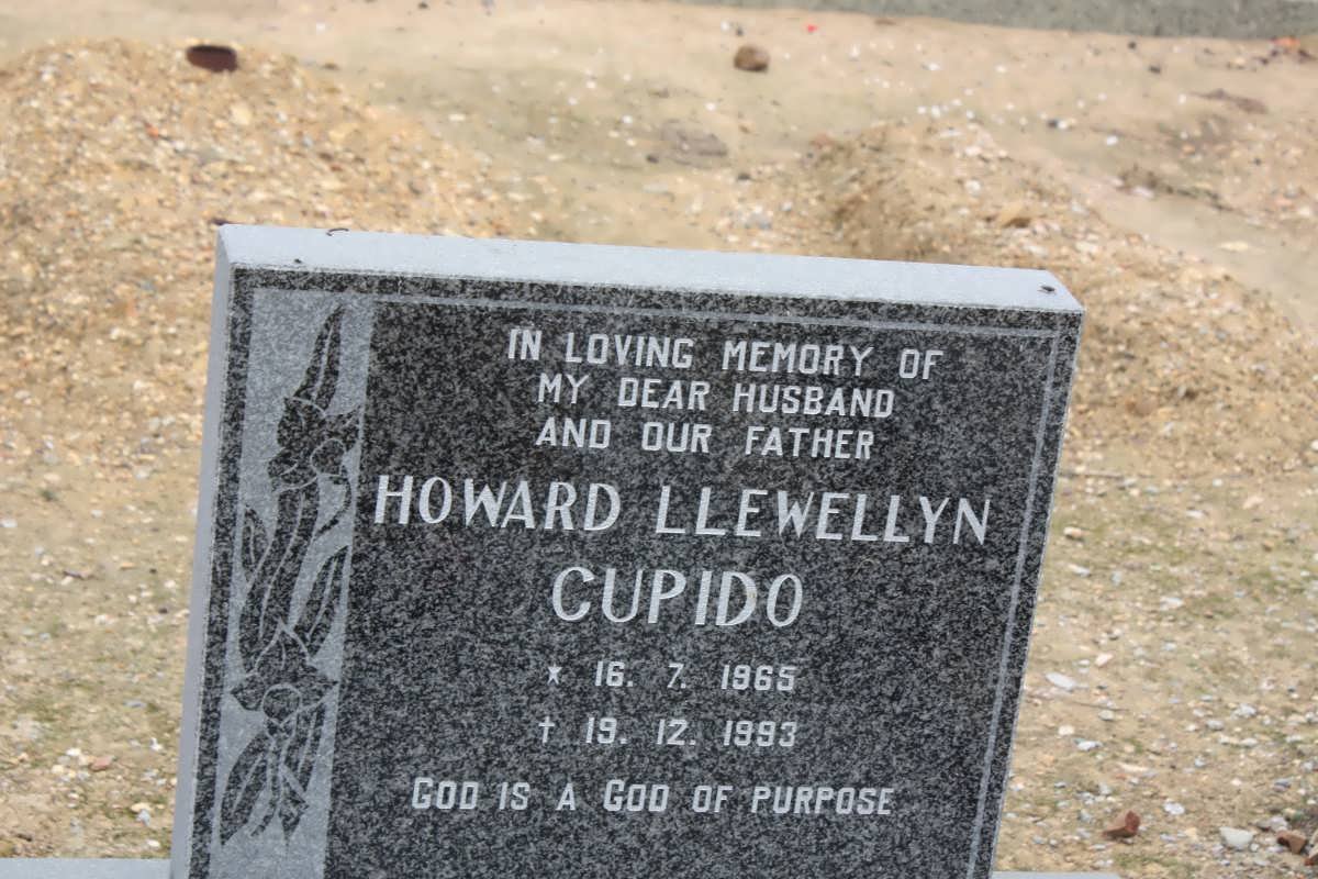 CUPIDO Howard Llewellyn 1965-1993