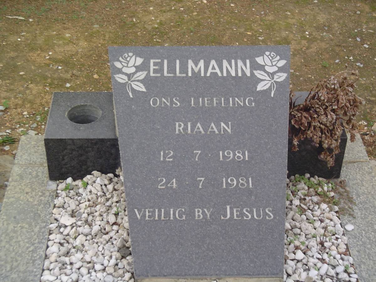ELLMANN Riaan 1981-1981