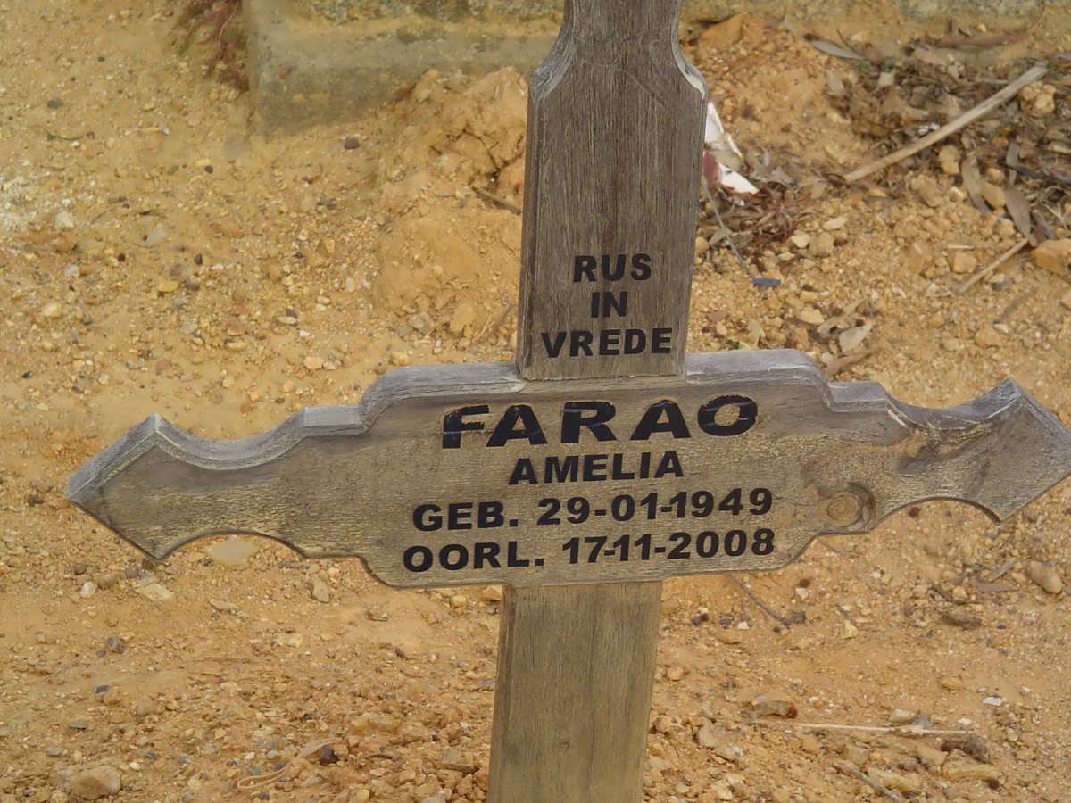 FARAO Amelia 1949-2008