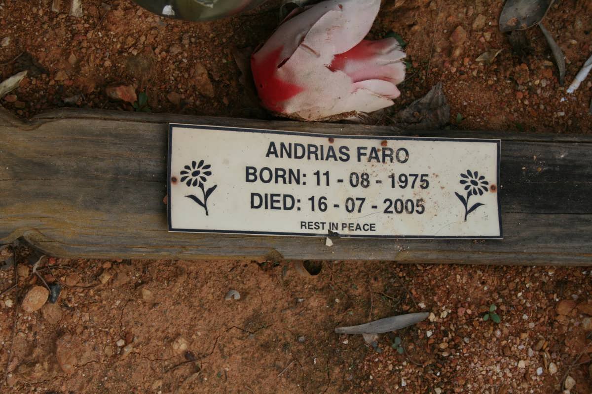 FARO Andrias 1975-2005