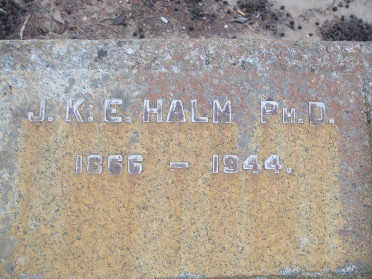 HALM J.K.E. 1866-1944