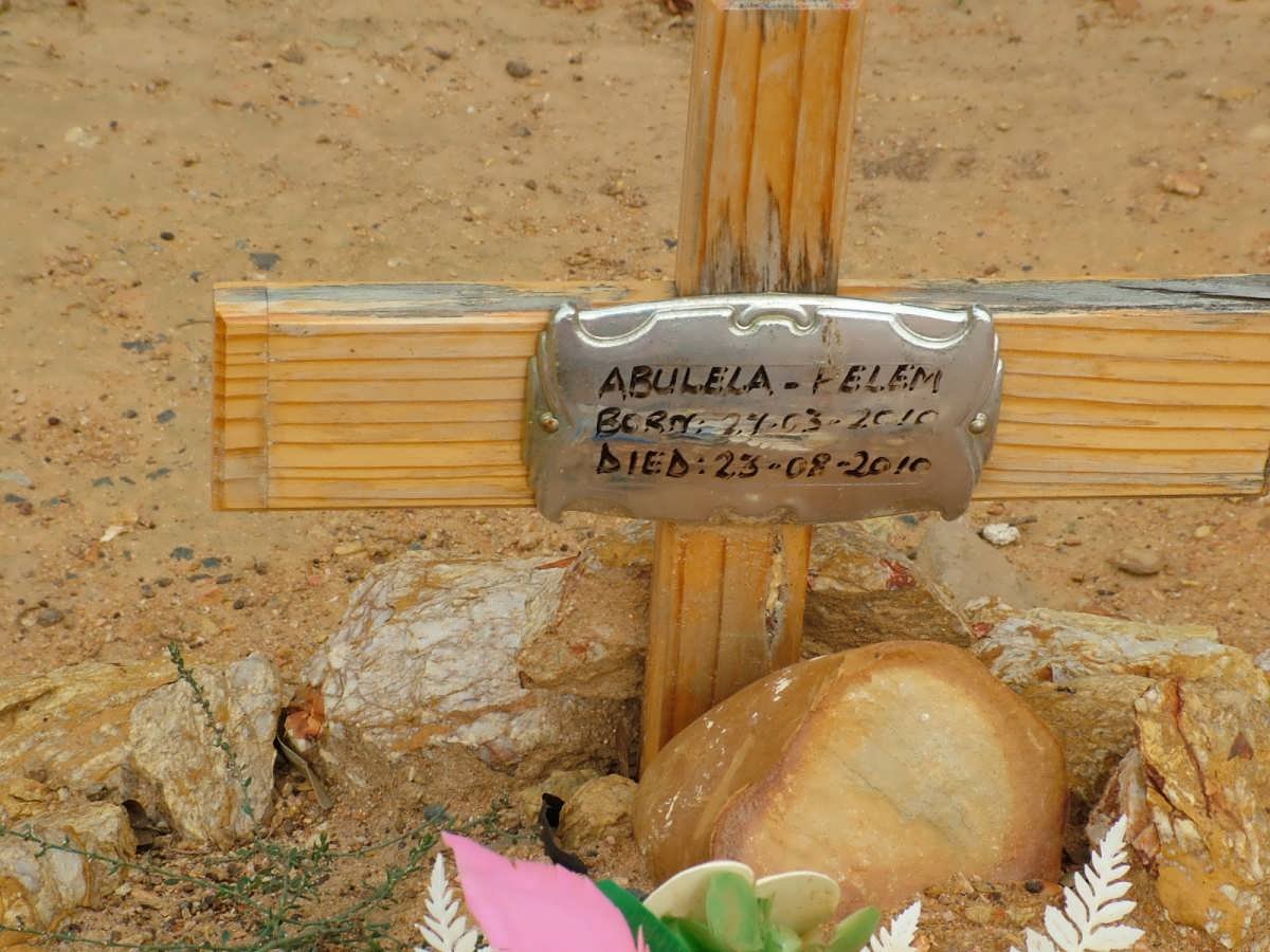 PELEM Abulela 2010-2010