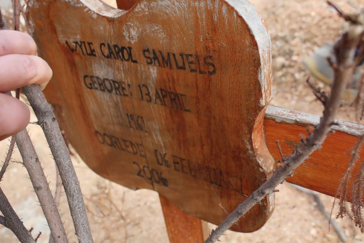SAMUEL Carol 1961-2006