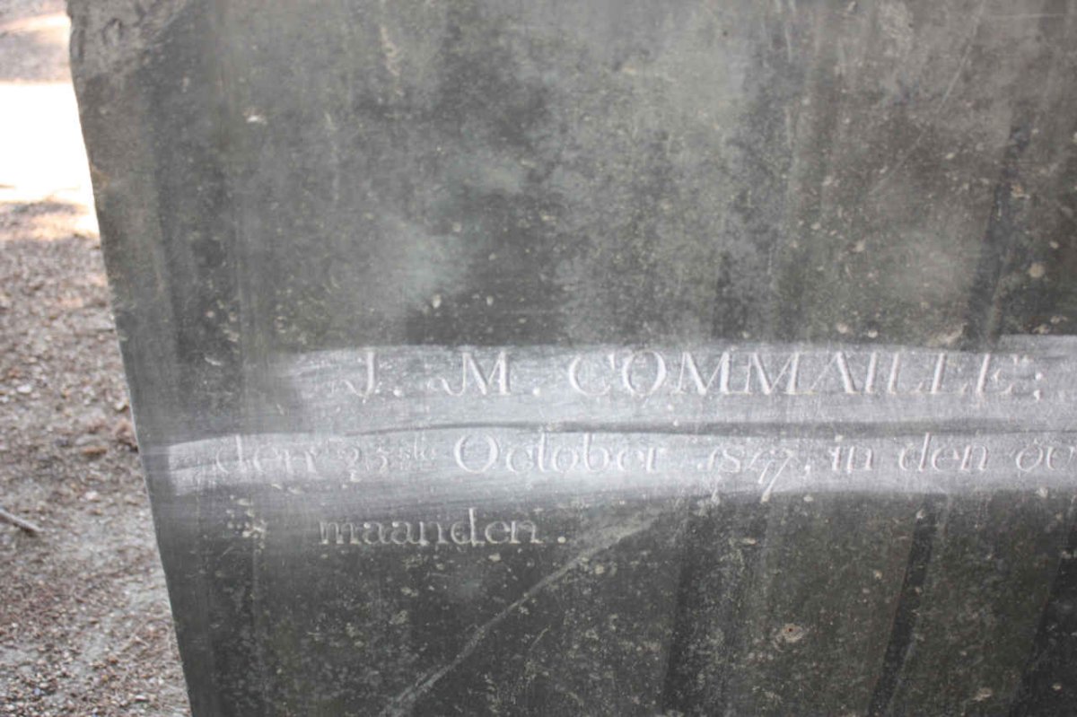 COMMAILLE J.M. nee VILLET -1877