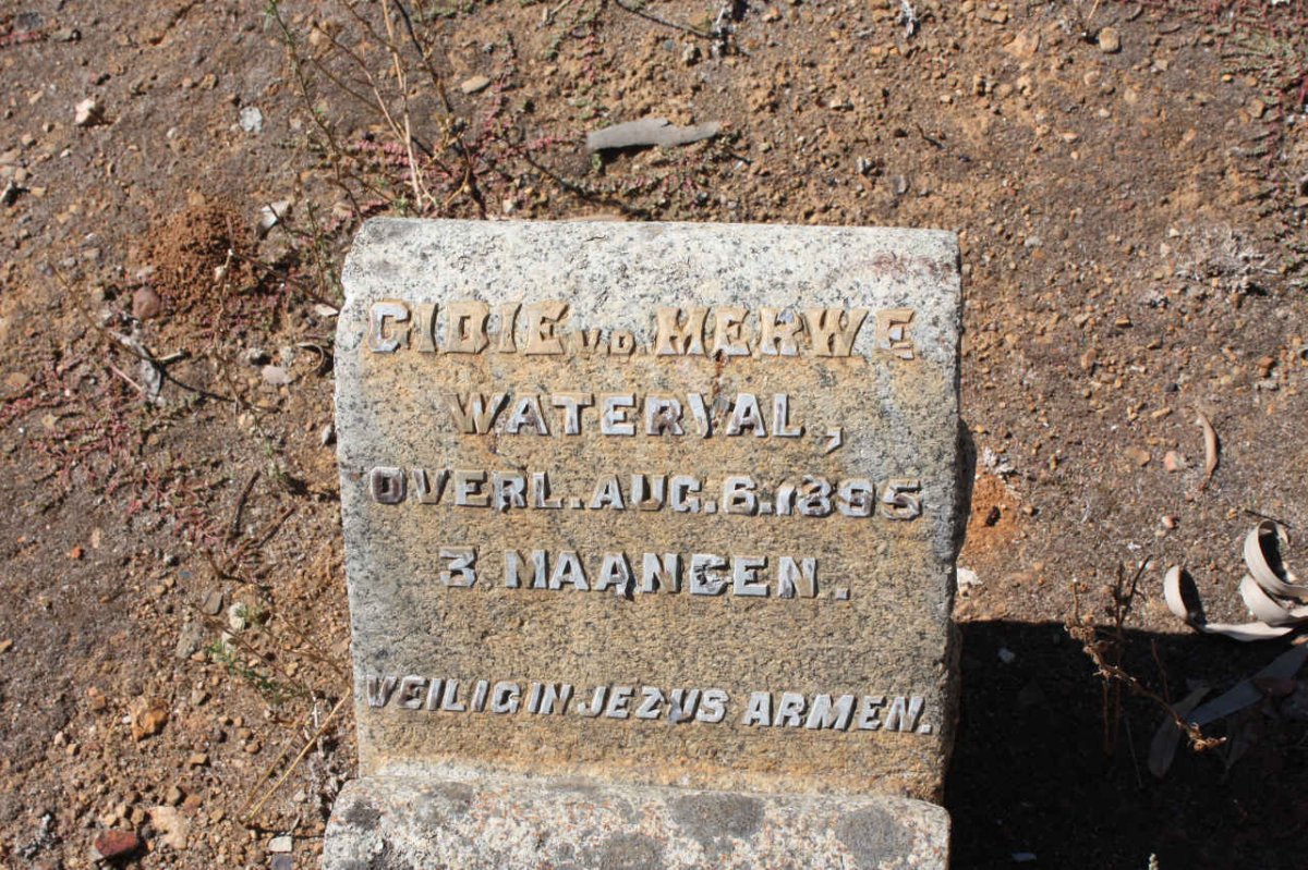 MERWE Gidie, van der -1895