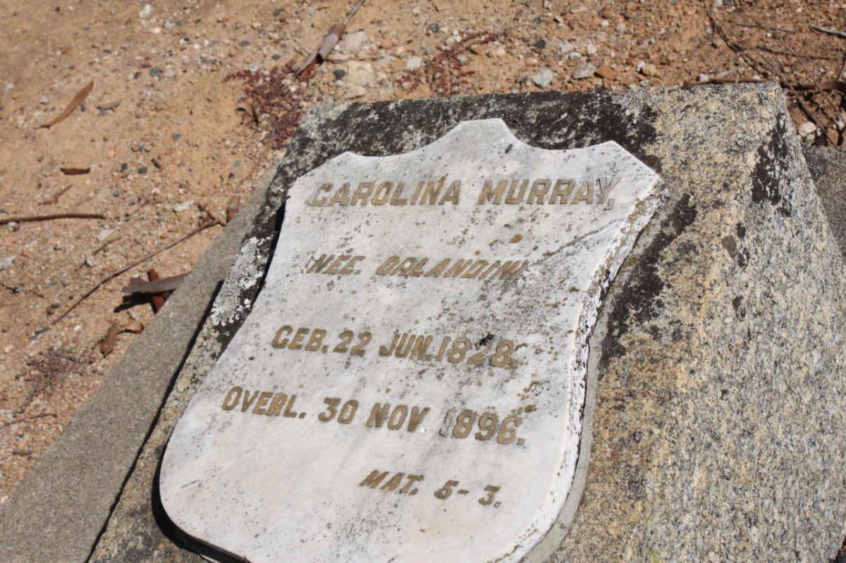 MURRAY Carolina nee ORLANDINI 1828-1896