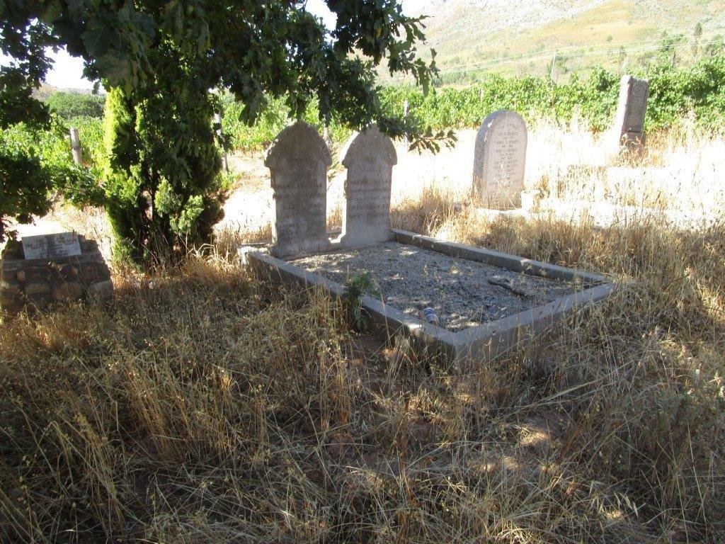 2. Overview