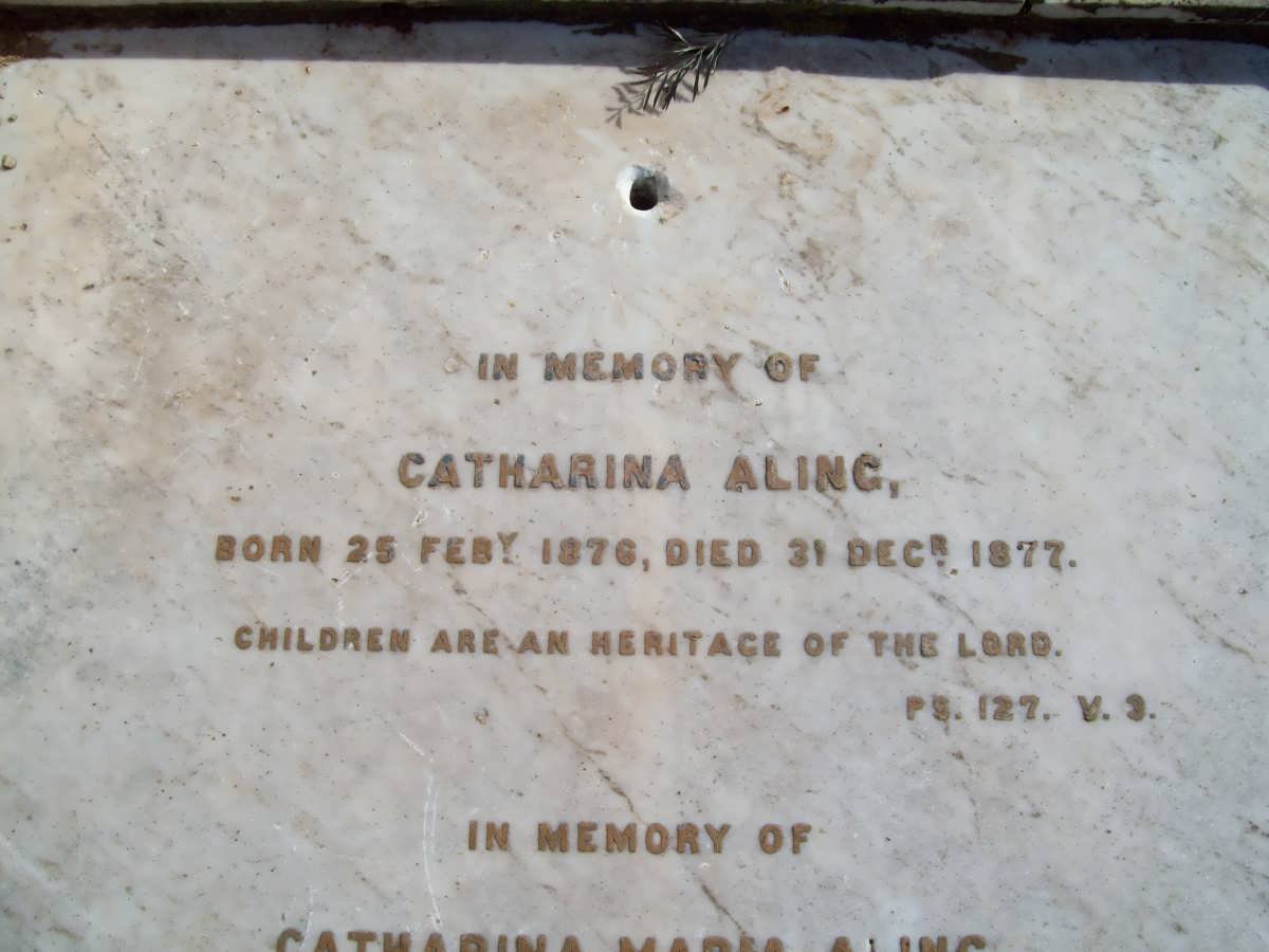ALING Catharina 1876-1877