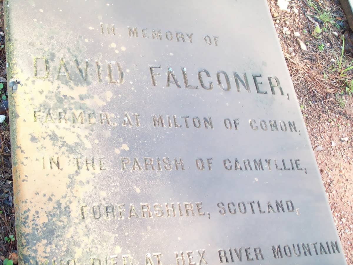 FALCONER David -1883