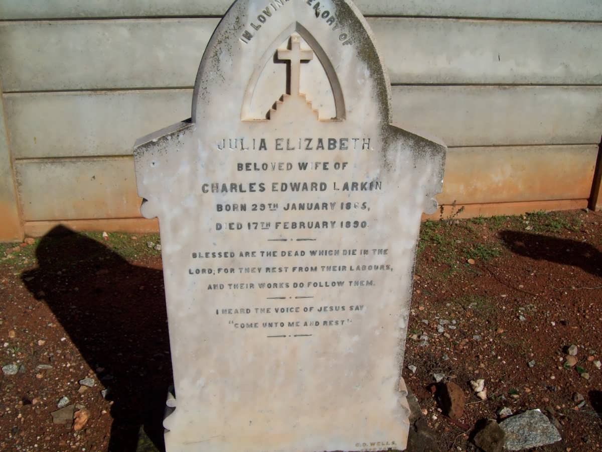 LARKIN Julia Elizabeth 1865-1890
