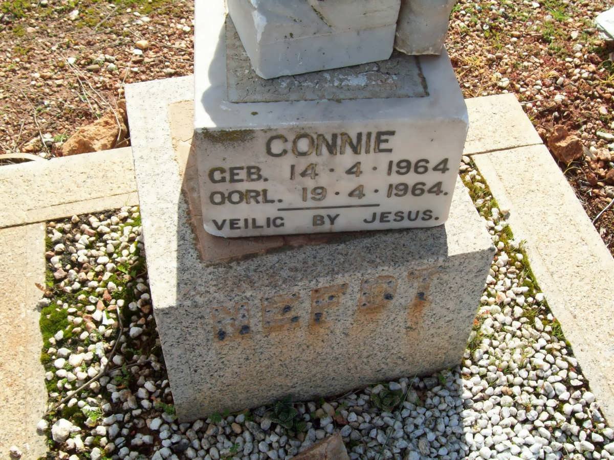 NEFDT Connie 1964-1964