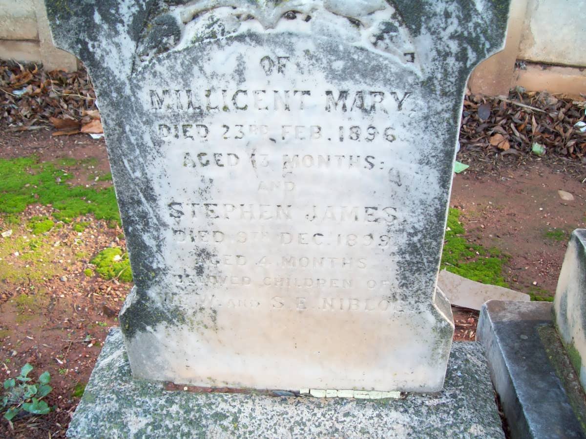 NIBLOO Milicent Mary -1896 :: NIBLOO Stephen James -1899
