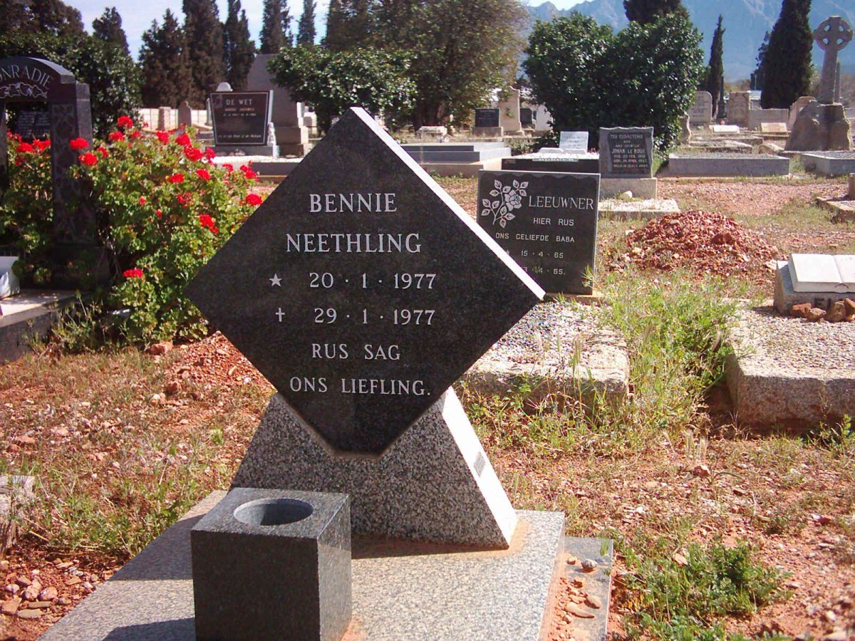 NEETHLING Bennie 1977-1977