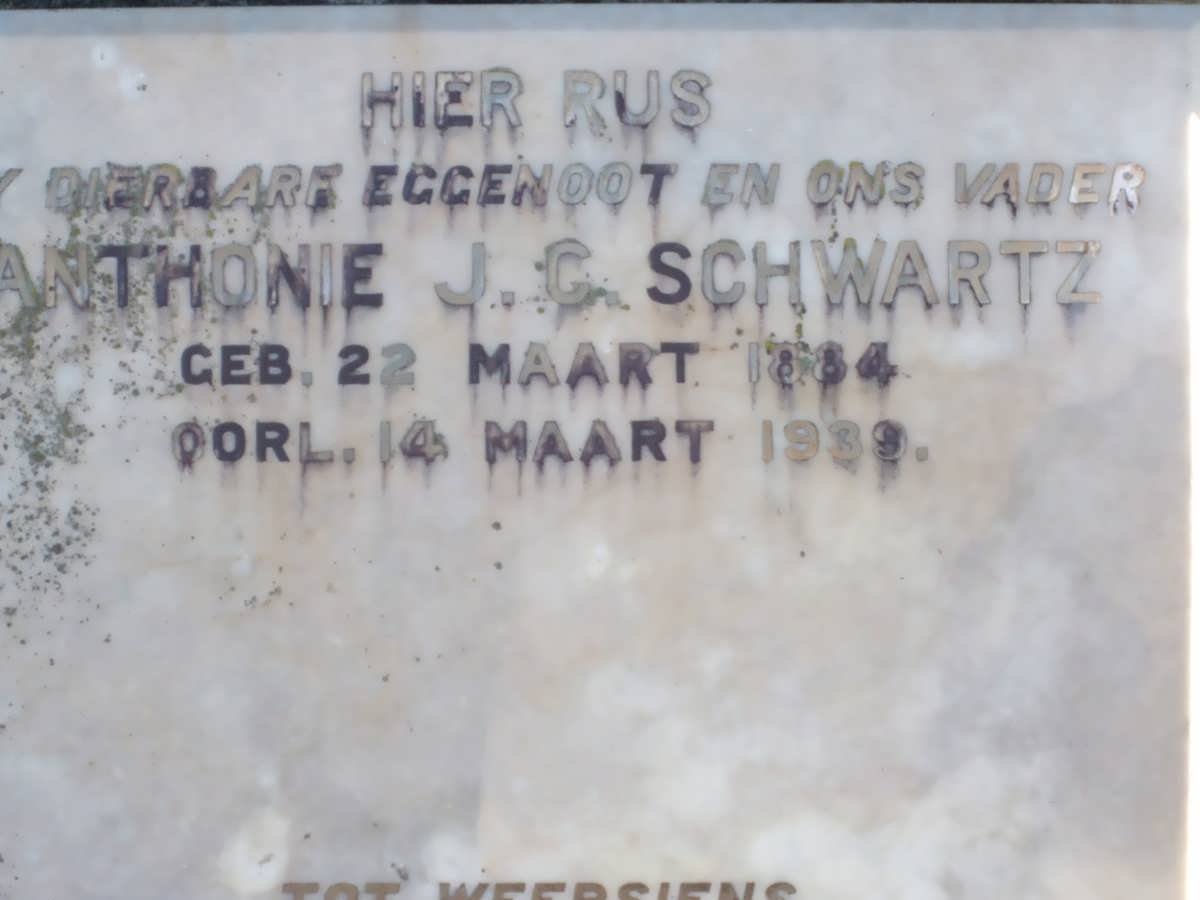 SCHWARTZ Anthonie J.C. 1885-1939