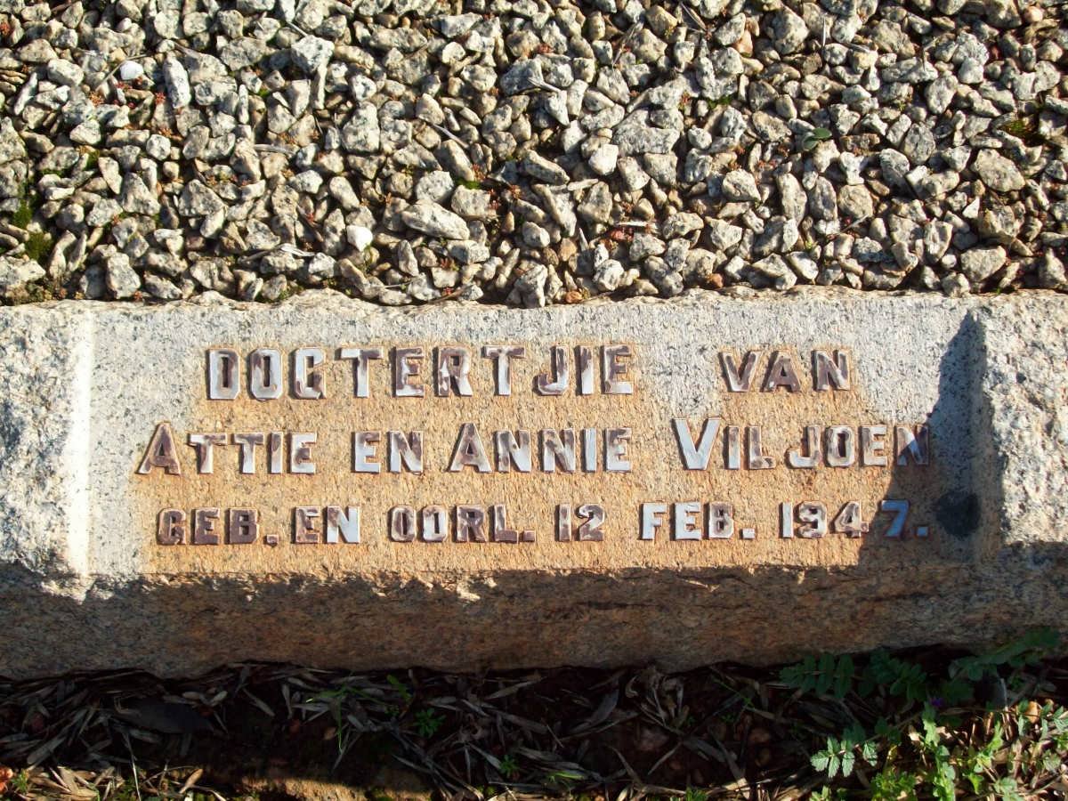 VILJOEN dogtertjie 1947-1947