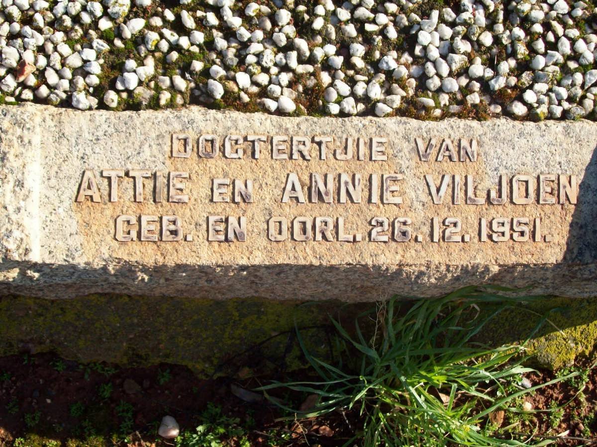 VILJOEN dogtertjie 1951-1951