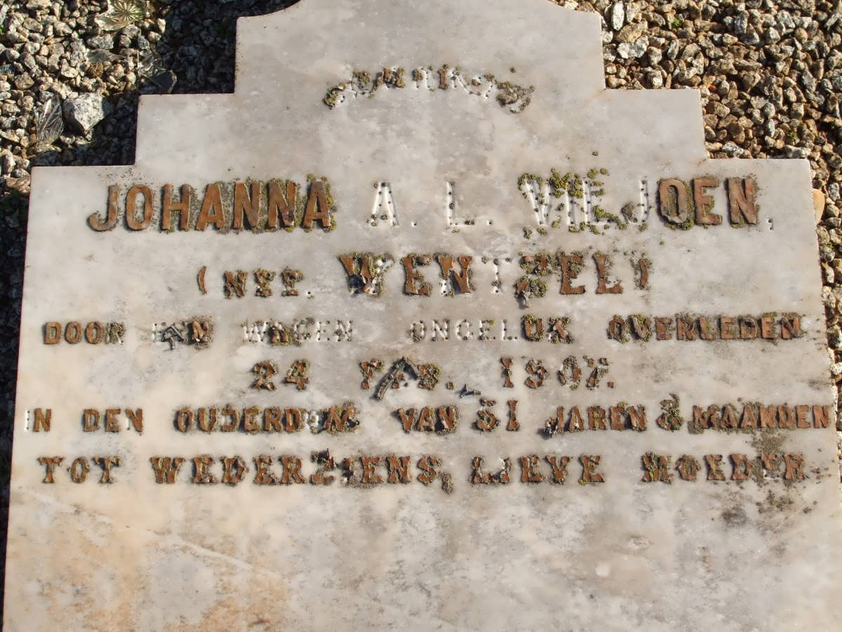 VILJOEN Johanna A.L. nee WENTZEL -1907