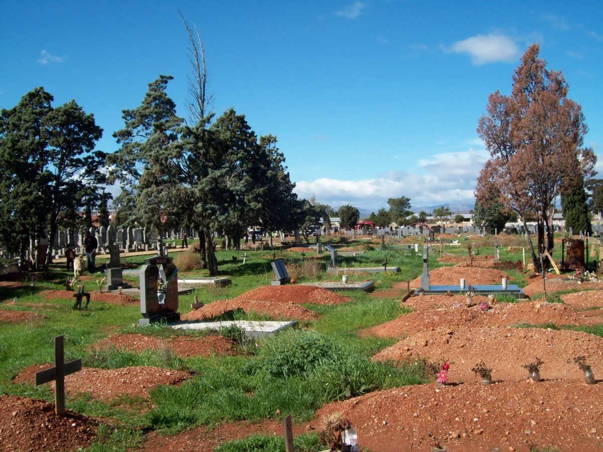 2. Overview