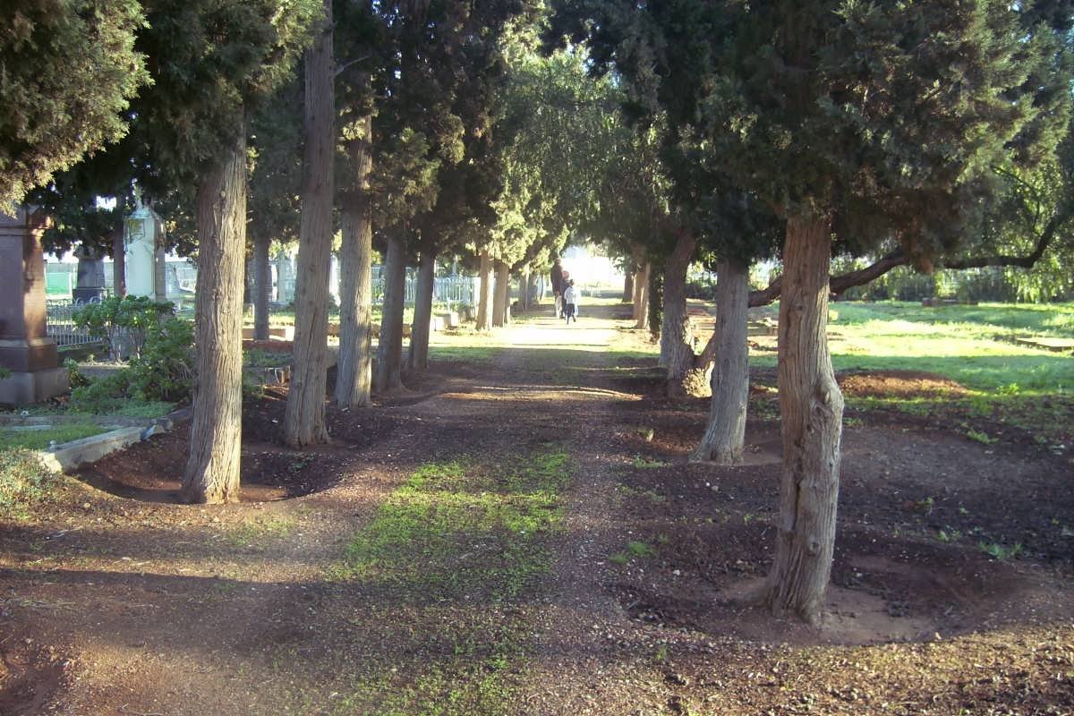 2. Overview
