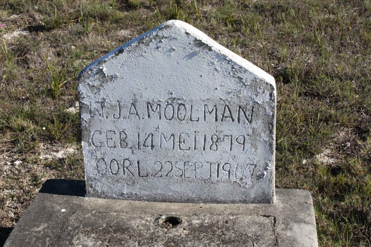 MOOLMAN W.J.A. 1879-1967