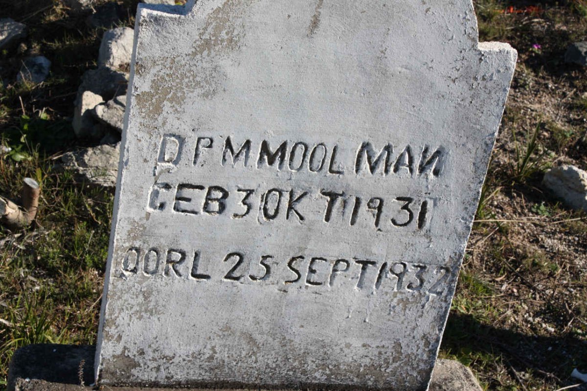 MOOLMAN D.P.M. 1931-1932