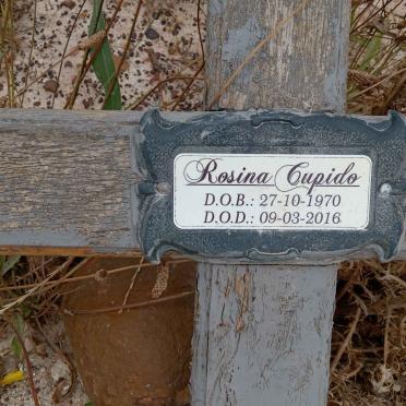 CUPIDO Rosina 1970-2016