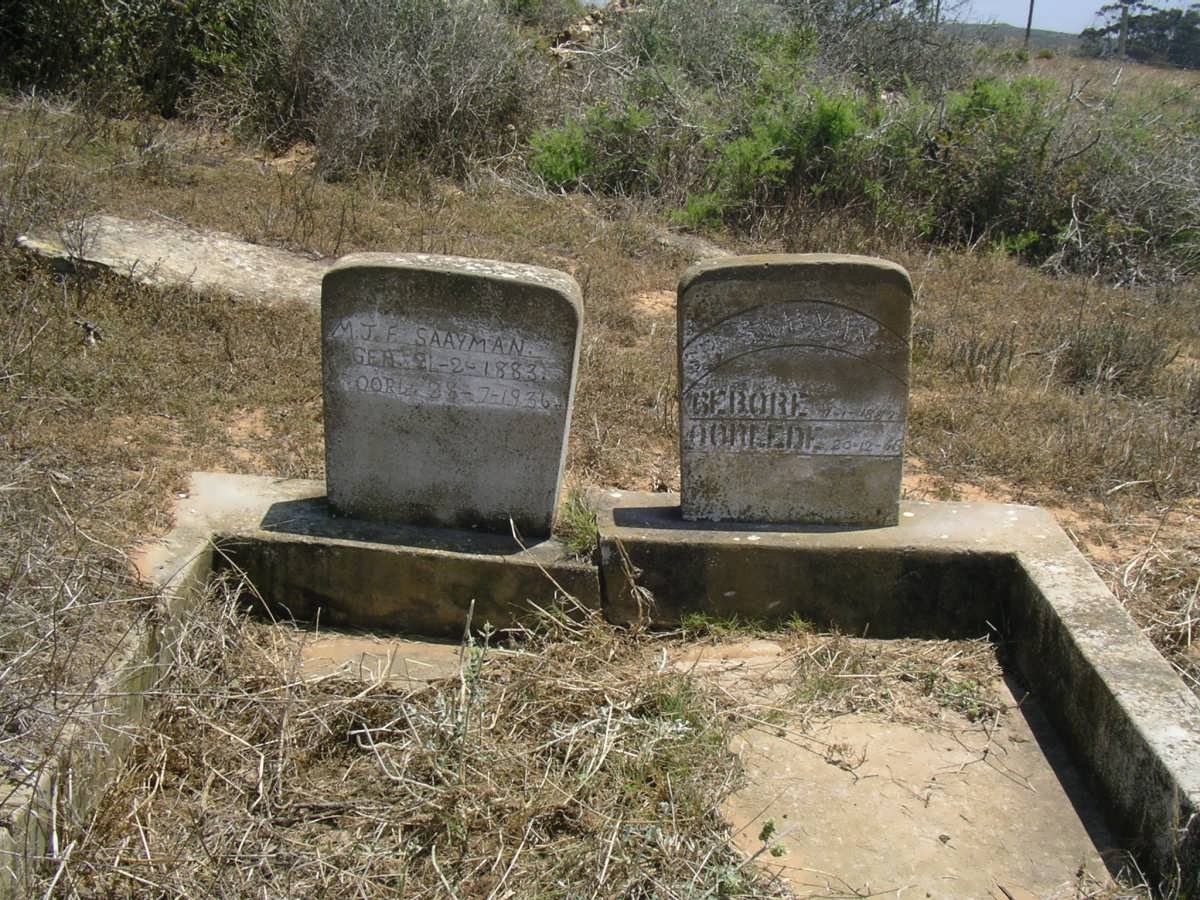 SAAYMAN M.J.F. 1883-1936 &amp; S.P. 1882-1965