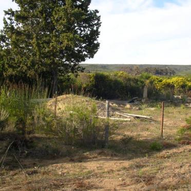 2. Overview