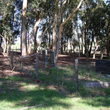 1. Overview on the cemetery